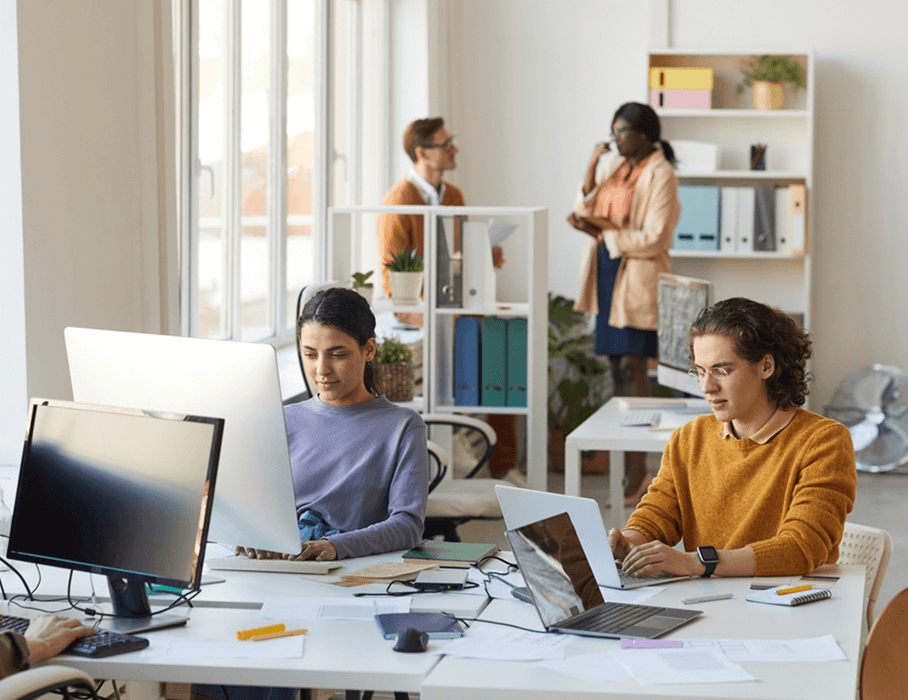 Search Engine Optimization